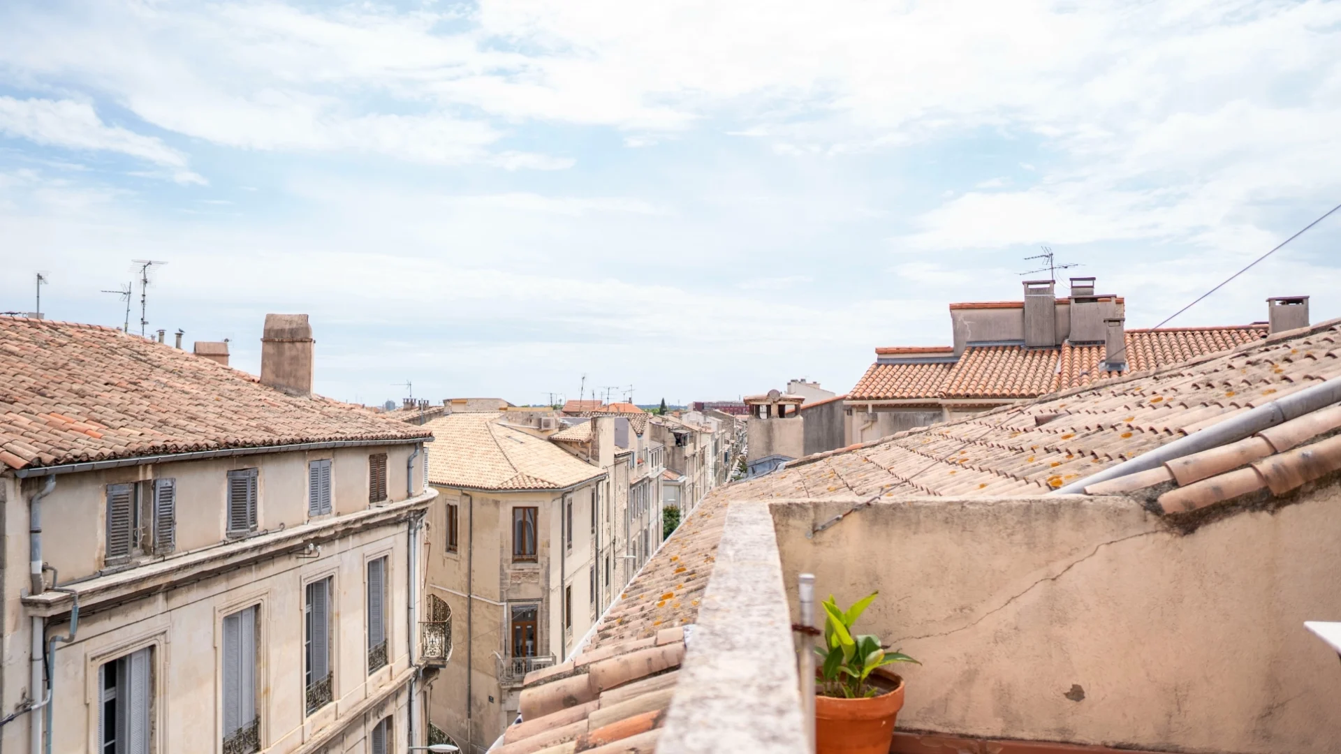 Adonis Nîmes Plazza – Image 3