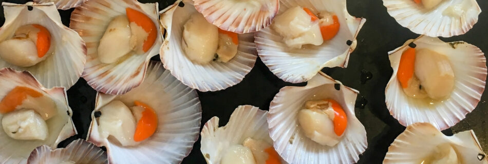 fete de la coquille saint jacques grandcamp 2026